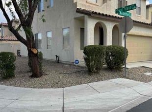 Bush Trimming by Lamont Johnson for Jeffrey T. in LAS VEGAS, NV