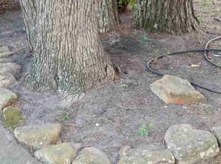 Leaf Removal by Demiteria Mattox for Blake R. in Houston, TX