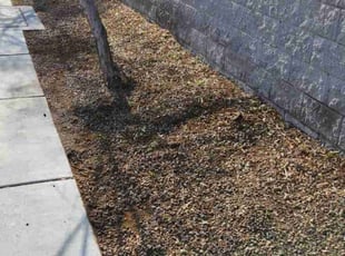 Weeding by Lamont Johnson for James L. in North Las Vegas, NV