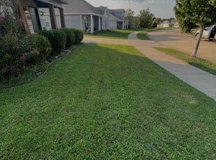 Allison O.'s Lawn Care service result