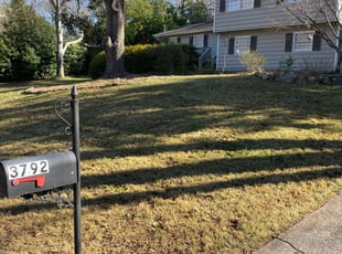 Leaf Removal by Delbert Rosa for Chad S. in Lilburn, GA