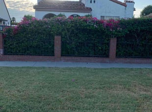 Bush Trimming by William Mendoza for Beverly C. in Los Angeles, CA