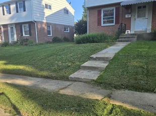 Allen N.'s Lawn Mowing service result