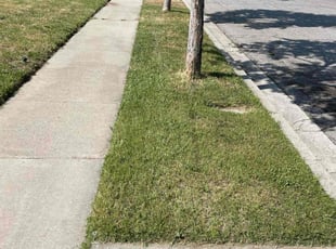 Lisa J.'s Lawn Care service result