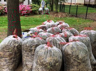 Leaf Removal by Maher Dougan for Shu L. in Waxhaw, NC