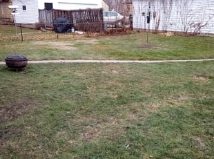 Leaf Removal by Jeffrey Spears for Kathleen V. in Minneapolis, MN