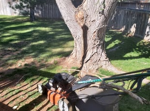 Cleanups by Josh Brown for Joan F. in Littleton, CO