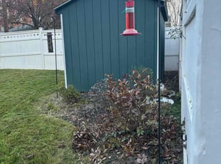 Bush Trimming by Shawna Schatzabel for Scott L. in Easton, PA