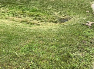 Cleanups by Kelvin Dertz for Daniel H. in Greenfield, WI