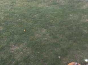 Cleanups by Marsha Fosnight for William S. in Denver, CO