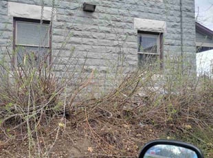 Bush Trimming by Kevin Johnson for Mary S. in Denver, CO