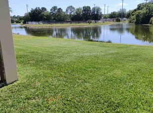 Aaron A.'s Lawn Maintenance service result