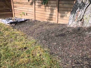 Leaf Removal by Caleb Patton for EricAshley C. in Cincinnati, OH