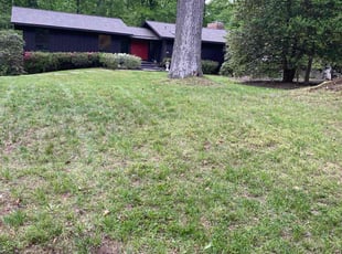 Leaf Removal by Margarito Cardona for Greg G. in Reston, VA