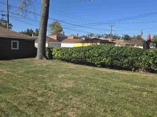 Weeding by Israel vazquez for Destinie L. in Broadview, IL