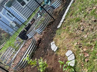 Weeding by Jasson Cabrera for Rachel A. in Danbury, CT