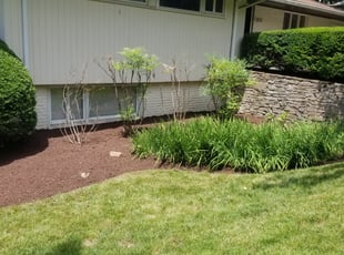 Mulching by Miguel Santos for Richard H. in Bethesda, MD