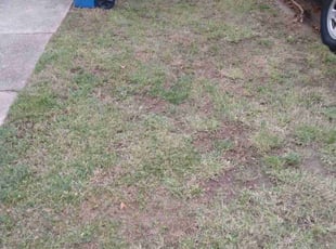 Leaf Removal by Robert Edwards for Shawnett J. in Wilmington, DE