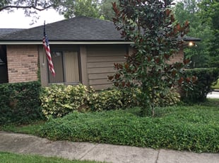 Bush Trimming by Willie Carmichael for David H. in Longwood, FL