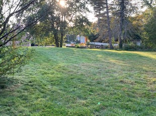 Shella F.'s Yard Cutting service result