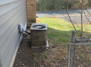 Leaf Removal by Shawn Spiess for Terri H. in Minneapolis, MN