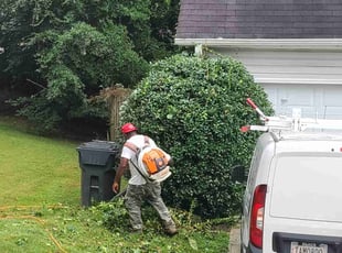 Bush Trimming by Chris Towery for Ashton L. in Lawrenceville, GA
