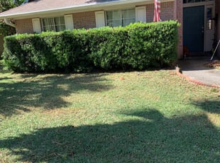 Bush Trimming by Anthony Jackson for Gwendolyn G. in Jacksonville, FL