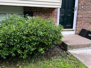 Bush Trimming by Khalim Yularnis for Caitlin R. in Springfield, VA