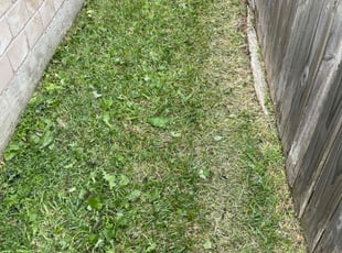Cleanups by Heriberto Lopez for Anna H. in Corpus Christi, TX