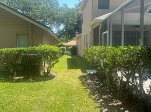 Jonathan R.'s Lawn Mowing service result