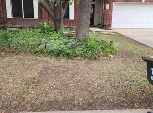 Leaf Removal by Juliana Ledezma for Clifford B. in Georgetown, TX