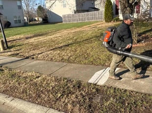 Leaf Removal by Joe Stasney for Marisa D. in Charlotte, NC