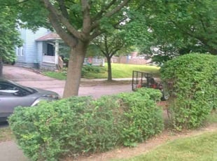 Bush Trimming by Jeremy Zanders for Frank D. in Cleveland, OH