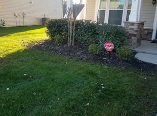 Bush Trimming by David Montanez for Tianna H. in Charlotte, NC