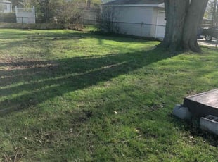 Leaf Removal by Japheus Sanders for Tanisha W. in Warren, MI
