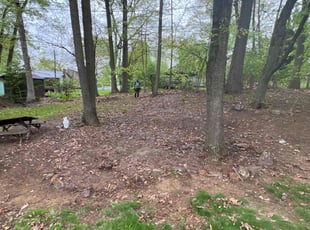 Leaf Removal by Veronica Lick for Enid L. in Allentown, PA