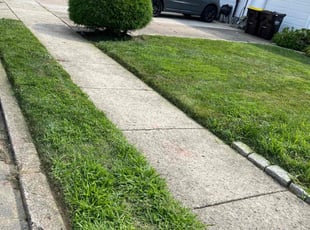 Dan G.'s Lawn Mowing Service service result