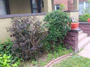 Bush Trimming by James Hamilton for Ashley V. in Omaha, NE