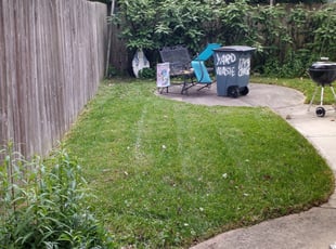 Bush Trimming by Parris Lisembee for Ron L. in Cincinnati, OH