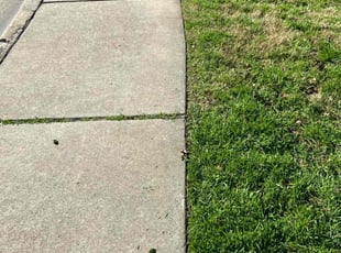 Steve A.'s Lawn Maintenance service result