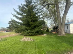 Marjorie C.'s Lawn Service service result