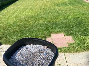 Maurice N.'s Lawn Service service result