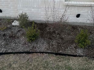 Weeding by Wayland Gray for Brandon G. in Sunnyvale, TX
