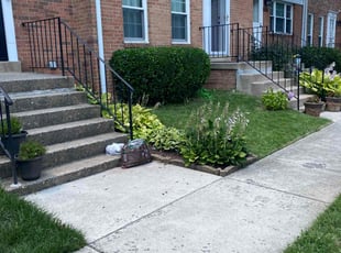 Bush Trimming by Jose Hercules for Earl P. in Falls Church, VA