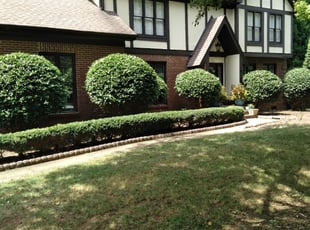 Bush Trimming by Gregory Crayton for Daryl C. in Charlotte, NC
