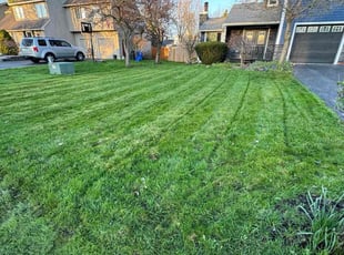 Arsheilia O.'s Lawn Care service result