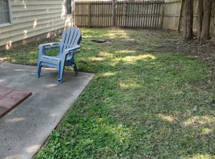 Leaf Removal by Michael Cherry for Delson G. in Charlotte, NC
