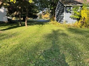 Carlos D.'s Lawn Mowing service result