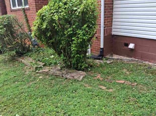 Bush Trimming by Dale Ponder for Marinda W. in Arden, NC