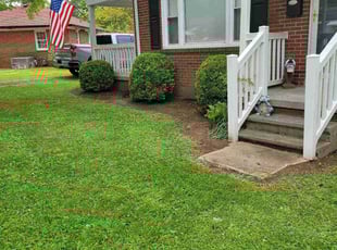 Bush Trimming by Clyde Scotton for James B. in Siler City, NC